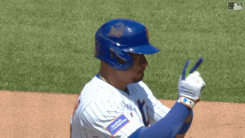 Celebrate Major League Baseball GIF by New York Mets