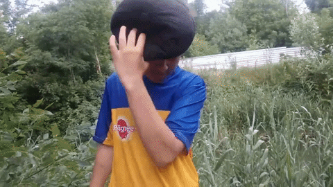 kipish_ambal giphyupload GIF