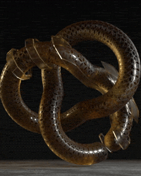 Hafid3D GIF