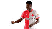 Football Soccer Sticker by SK Slavia Praha