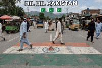 India Pakistan GIF