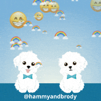 Happy Dog GIF by HammyandBrody