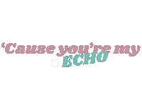 Echo Sticker