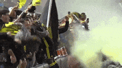 Vamos Usl Championship GIF by New Mexico United