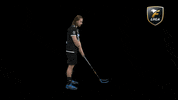 Floorball Salibandy GIF by F-liiga