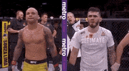 ufc sports sport ufc mma GIF