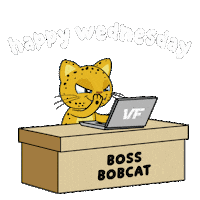 Working Wednesday Morning Sticker by VeeFriends
