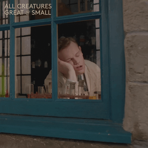 allcreaturestv giphyupload animals sleeping yorkshire GIF