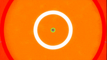 FallGuysGame gaming video games xbox playstation GIF