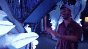 meowwolf meow wolf meowwolf meow wolf santa fe house of eternal return GIF