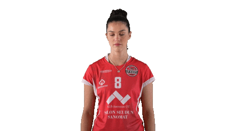 Sport Volleyball Sticker by LP Viesti