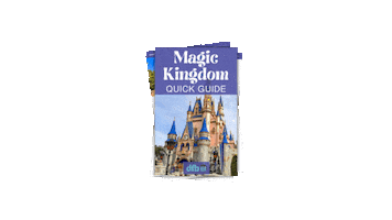 Magic Kingdom Sticker by DisneyFoodBlog
