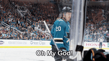 ice hockey omg GIF by NHL