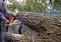 chainsaw GIF