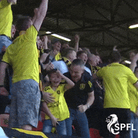 Football Dab GIF by SPFL