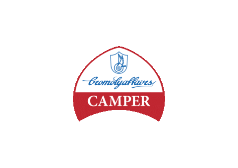Camper Sticker by Peonfx