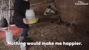 GIF by The Guardian