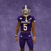 Football Wesleyan GIF by KWC Panthers