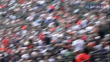 kc GIF by MLB