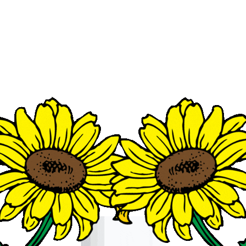 Skincare Sunflower Sticker by Derma Express