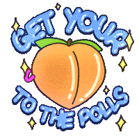 Voting Election 2020 Sticker by INTO ACTION