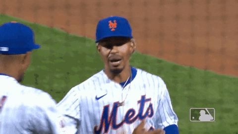New York Sport GIF by MLB