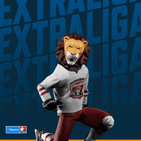 Hockey Hokej GIF by Tipsport extraliga