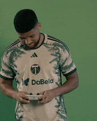 Portland Timbers Soccer GIF by Timbers