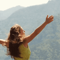 Freedom View GIF by TRT