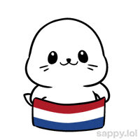 Lets Go Football GIF by Sappy Seals