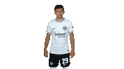 Turn Sge Sticker by Eintracht Frankfurt