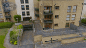 Rte GIF by Stellify Media