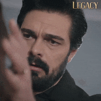 Legacy Emanet GIF by Eccho Rights