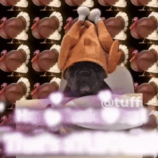 Happy Thanksgiving Tuff GIF