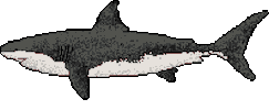 PositPixel pixel art shark sprite sprites Sticker