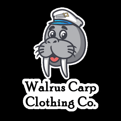 WalrusCarp giphygifmaker walruscarp walrus carp GIF