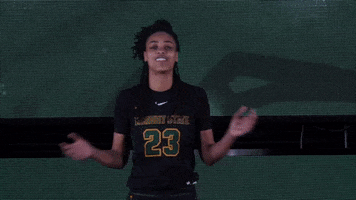 Ncaa Sports Sport GIF by Wright State University Athletics