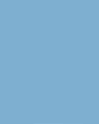 North Carolina Baseball GIF by UNC Tar Heels