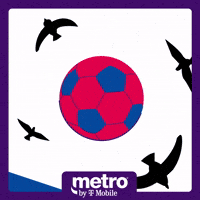 South Korea is on the race!