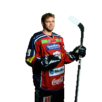 Berger Sticker by Lillehammer Ishockeyklubb