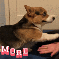 Milo GIF