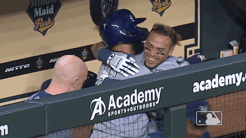 Regular Season Hug GIF by MLB