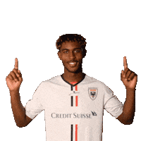 Gobe Gouano Sticker by FCAarau