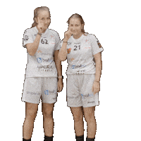 RedAntsWinterthur 2023 alina sina pfui Sticker