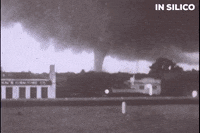 Model Tornado GIF by Couple 3 Films