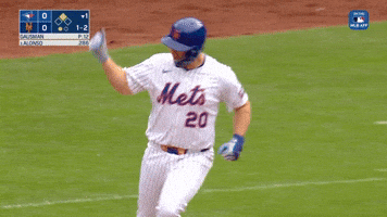 Celebrate Home Run GIF by New York Mets