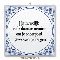 Humor Nl GIF by Tegelspreuken.nl