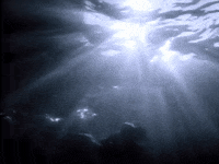 Ocean Swimming GIF by Pretty Dudes