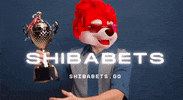 Shiba GIF by SHIBABETS.GG