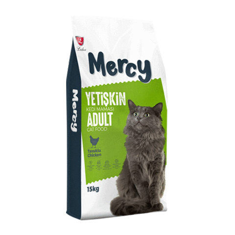 MamaPlus mercy mer cy Sticker